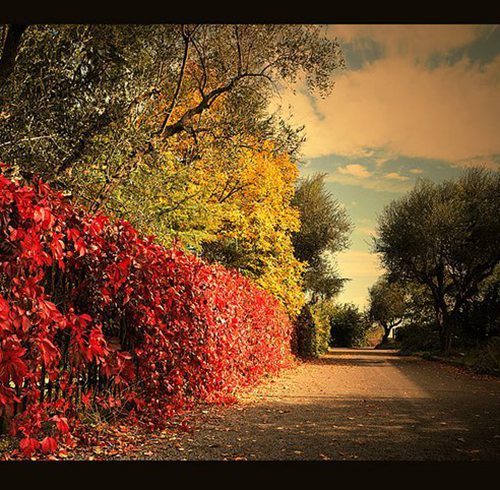 �ҵļ������꼶����