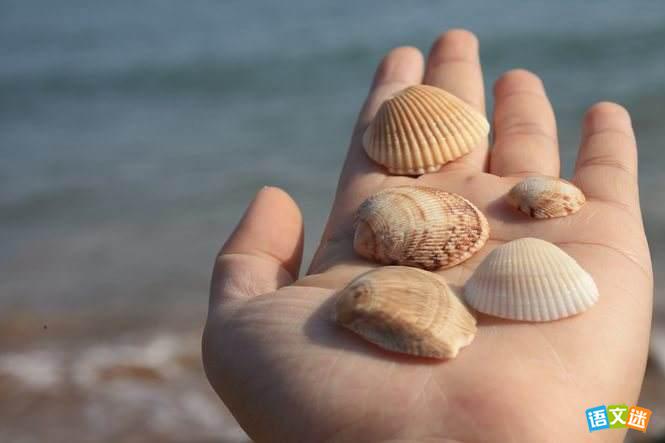 Ӣ�����ģ��ҵ�ͯ��My Childhood