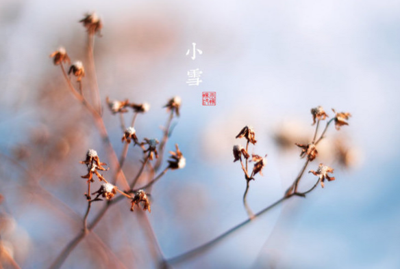 ����Сѩ��ʫ��