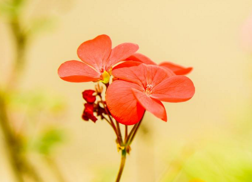 ���������Ҹж���һ��������