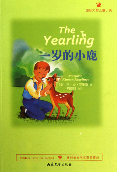 ��ͯС˵���ص�