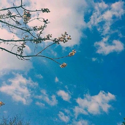 ����Ȧ����˵˵����