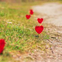 Сѧ����������������