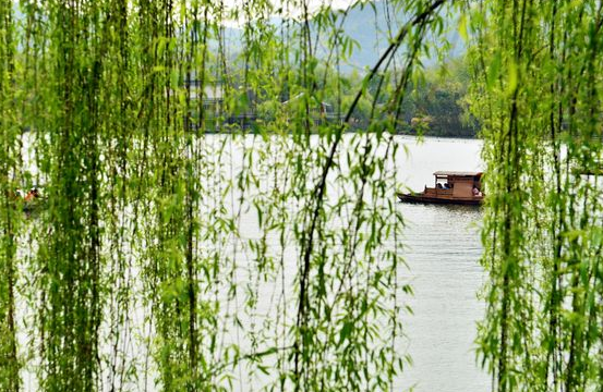 关于种树的诗句精选