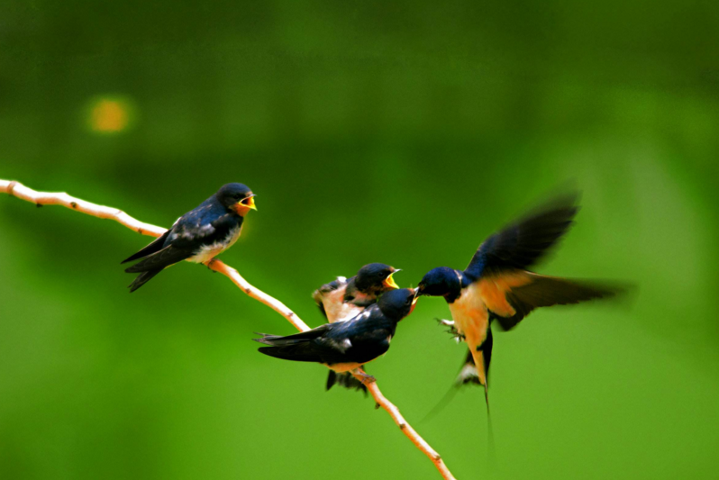 ���ڴ���Ĺ�ʫ����