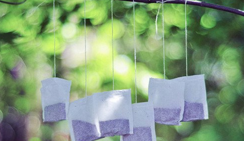 �辰�������Ļ���֪ʶ