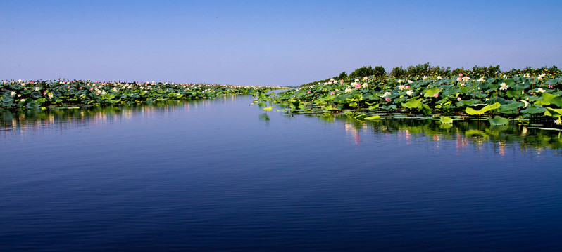 �羰�����ĵط����ں�����