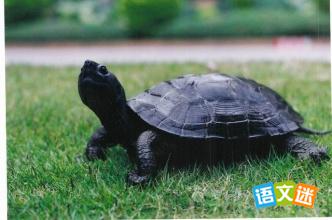 �����Ӣ�����ģ��ҵ��ڹ�