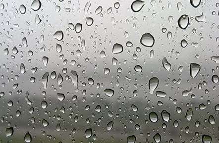 �й����ʫ��