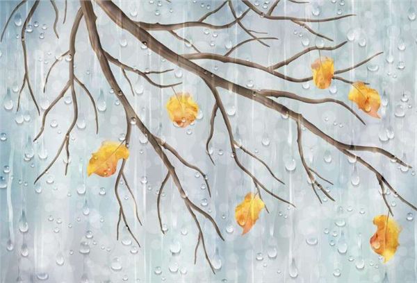 ������ˮ���������ﾫѡ