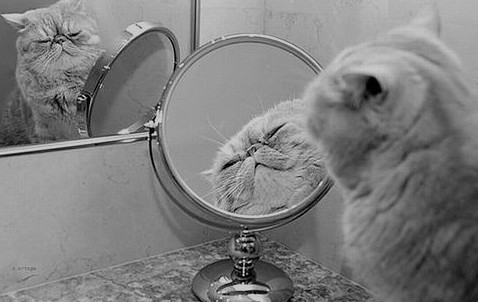 ���꼶Ӣ�����ģ��˷����� Get Over My Weakness