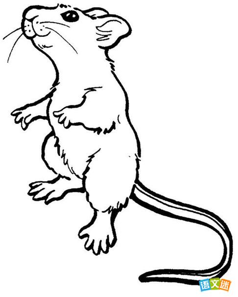 《诗经·硕鼠》简析