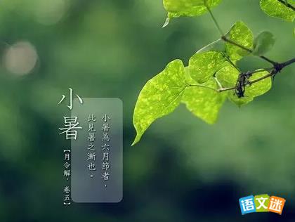 ����С���ʫ�ʾ�ѡ