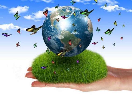 �Ի���Ϊ��������꼶����