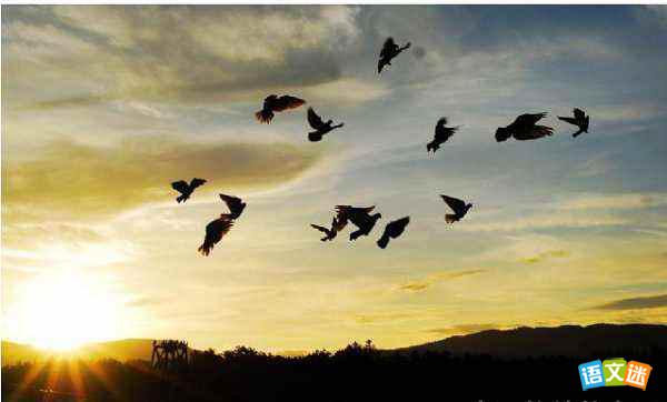 英语作文对我影响最深的人