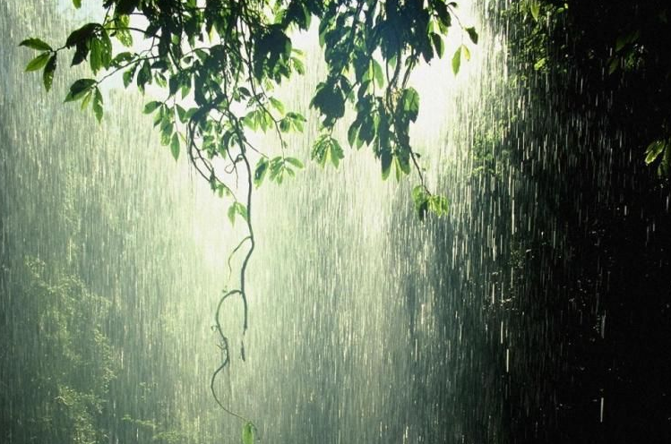 有关雨水节气的诗词