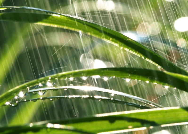 ���ʮ�Ľ�����ˮ�����йص�ʫ��