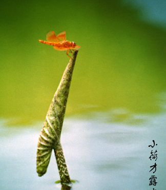 ��������ġ�С�ء���ѧ��ʶ