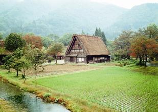 ���绷���ı仯_����