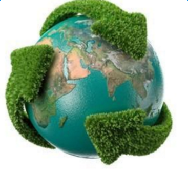 Сѧ���꼶���ġ�����ĸ�ס�