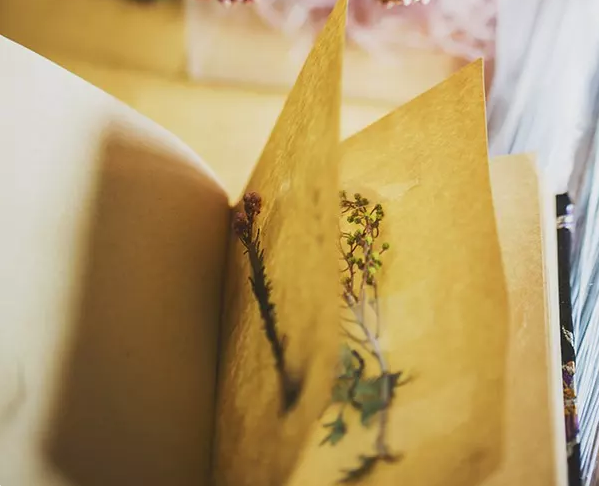 �߿��زģ���ƪ����ժ��