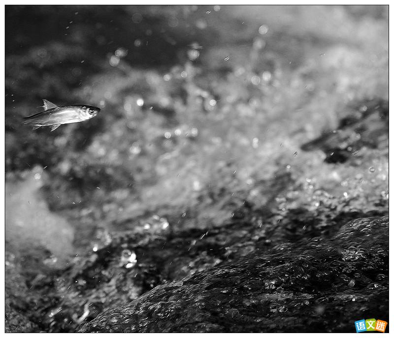 �йؼƻ���Ŀ��ĸ߿�д���ز�