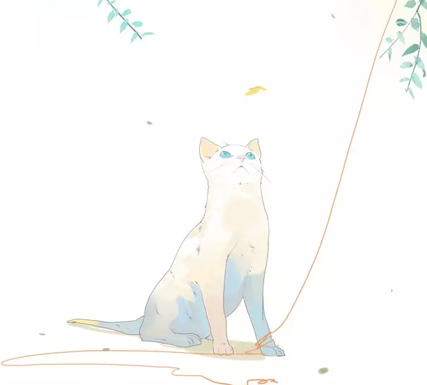 �������£����������������