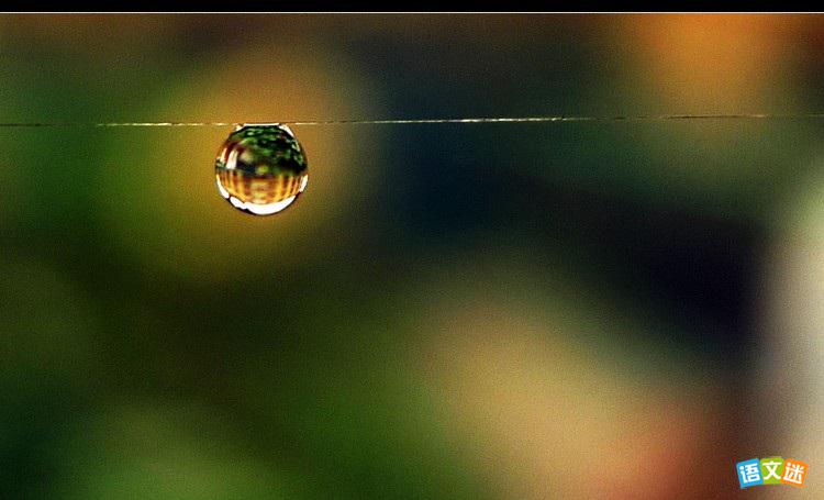 ����������ʵ�Ĺ���