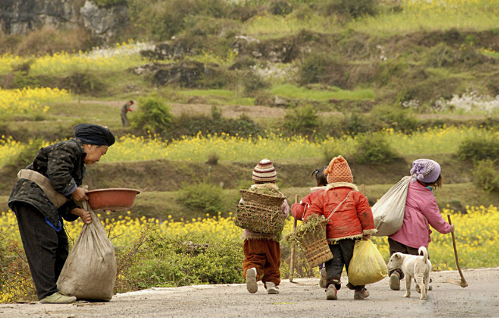 穷人的中考优秀作文素材