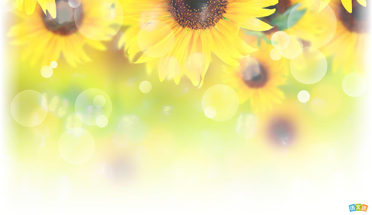 高考作文素材主题类:幸福