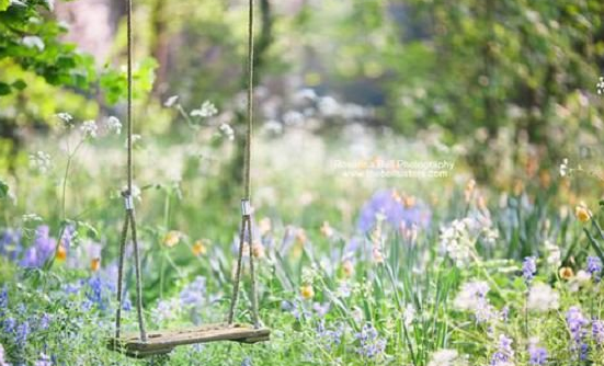 ����������־����