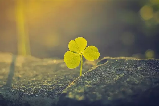 2115006170945971998654a7c879287.png 高考写作素材:民间传说