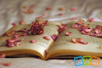 �������£���ȸ���ظ߷�