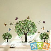 �����������������������