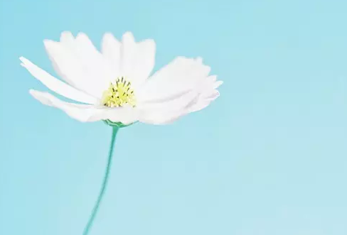 ������£�����ϵ��