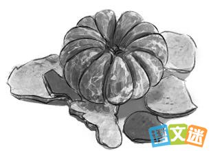 �ٻ�Ϊ�׵ĳ������