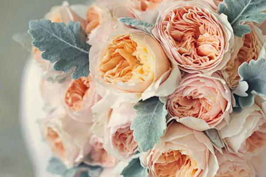 �п������زģ���� ����