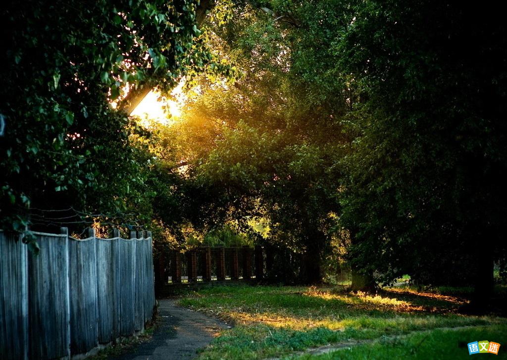 ̫������ͬʱ�յ���ʵ�����