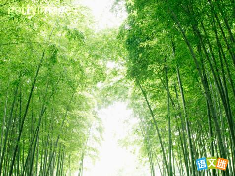 ���ڴ��쾰���д���ز�