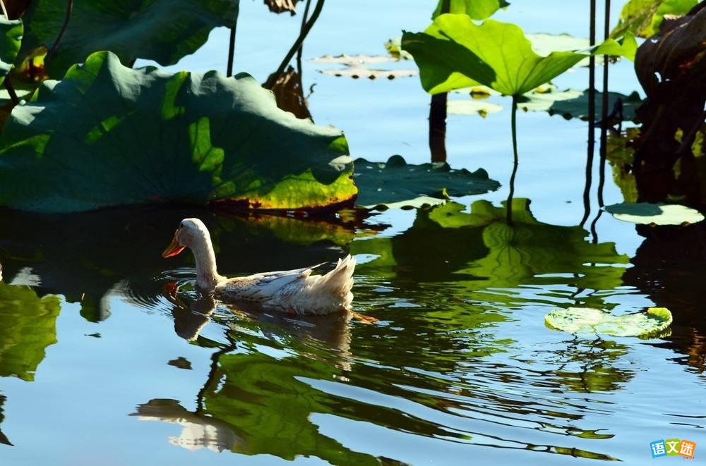 ������£��������������