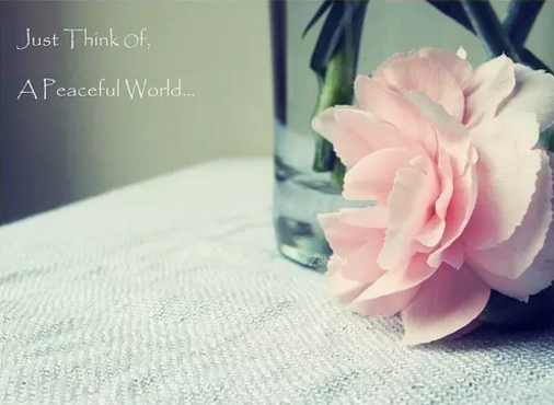 ���˹��£����Ѵ�����ů����ɫ