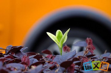 ����֮������������