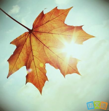 2017���п��زĻ��ۣ������˸е�ʫ��