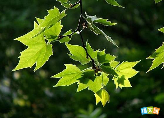 ���������й�Ԣ�Թ���