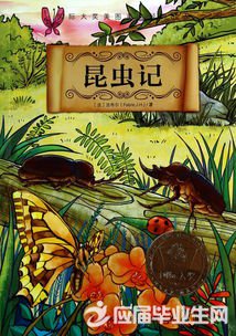 ������������Ƕ����