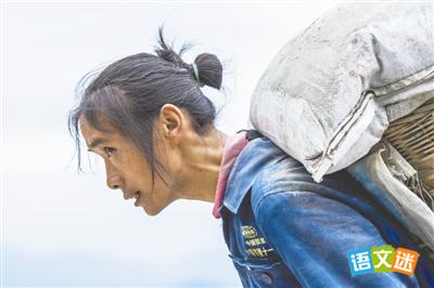 峨眉山金顶女背山工获网友点赞