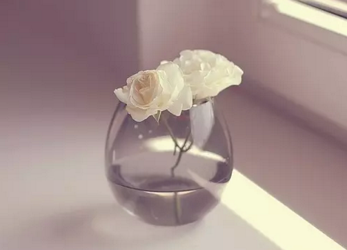 �����������۾��زģ������������԰�