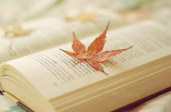 2415008696625975741ec2763656373.png 关于书的高考作文素材