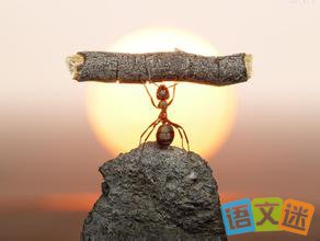 ���������˵�ͷ������