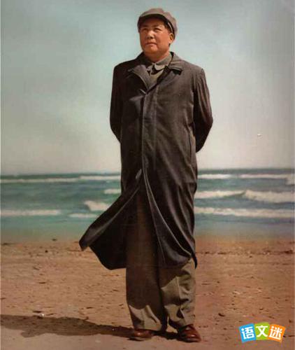 ���ڽڼ����������